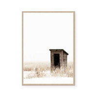 The Shed