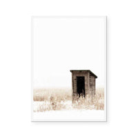 The Shed