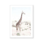 This Here Giraffe II