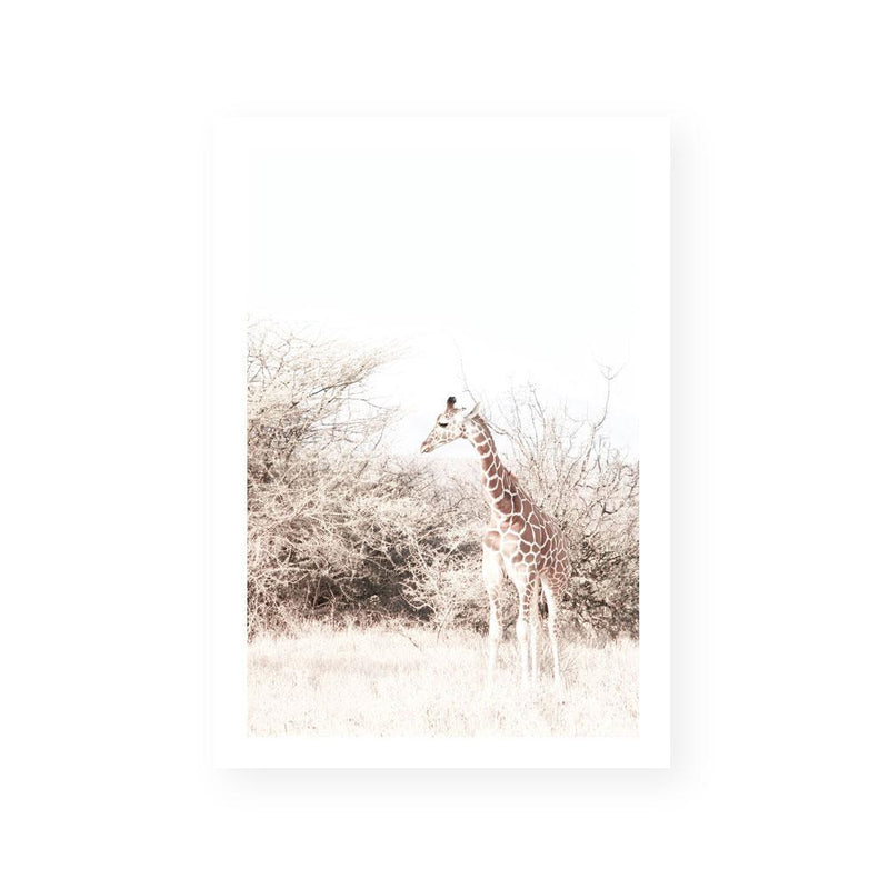 This Here Giraffe I