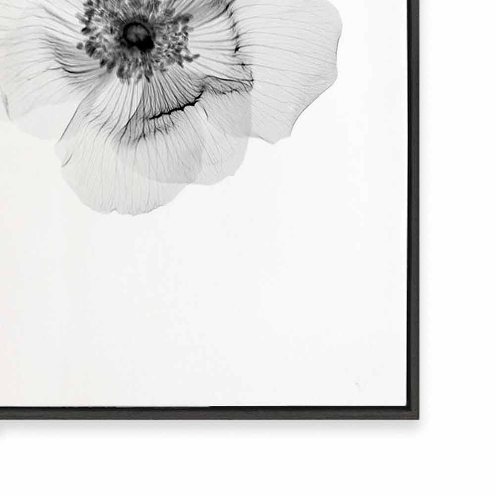 Transparent Florals II