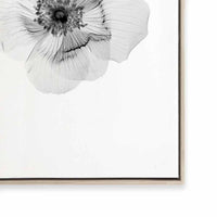 Transparent Florals II