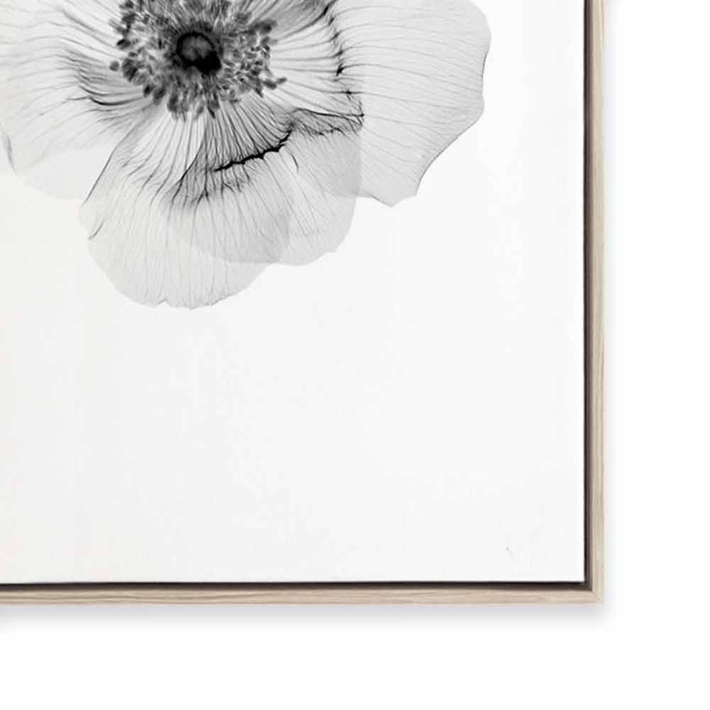 Transparent Florals II