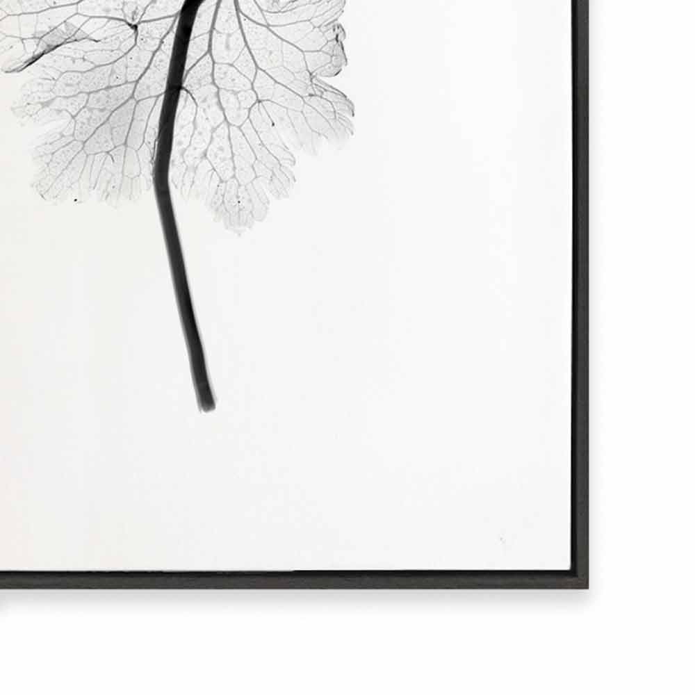 Transparent Florals I