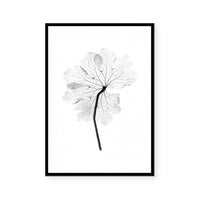 Transparent Florals I