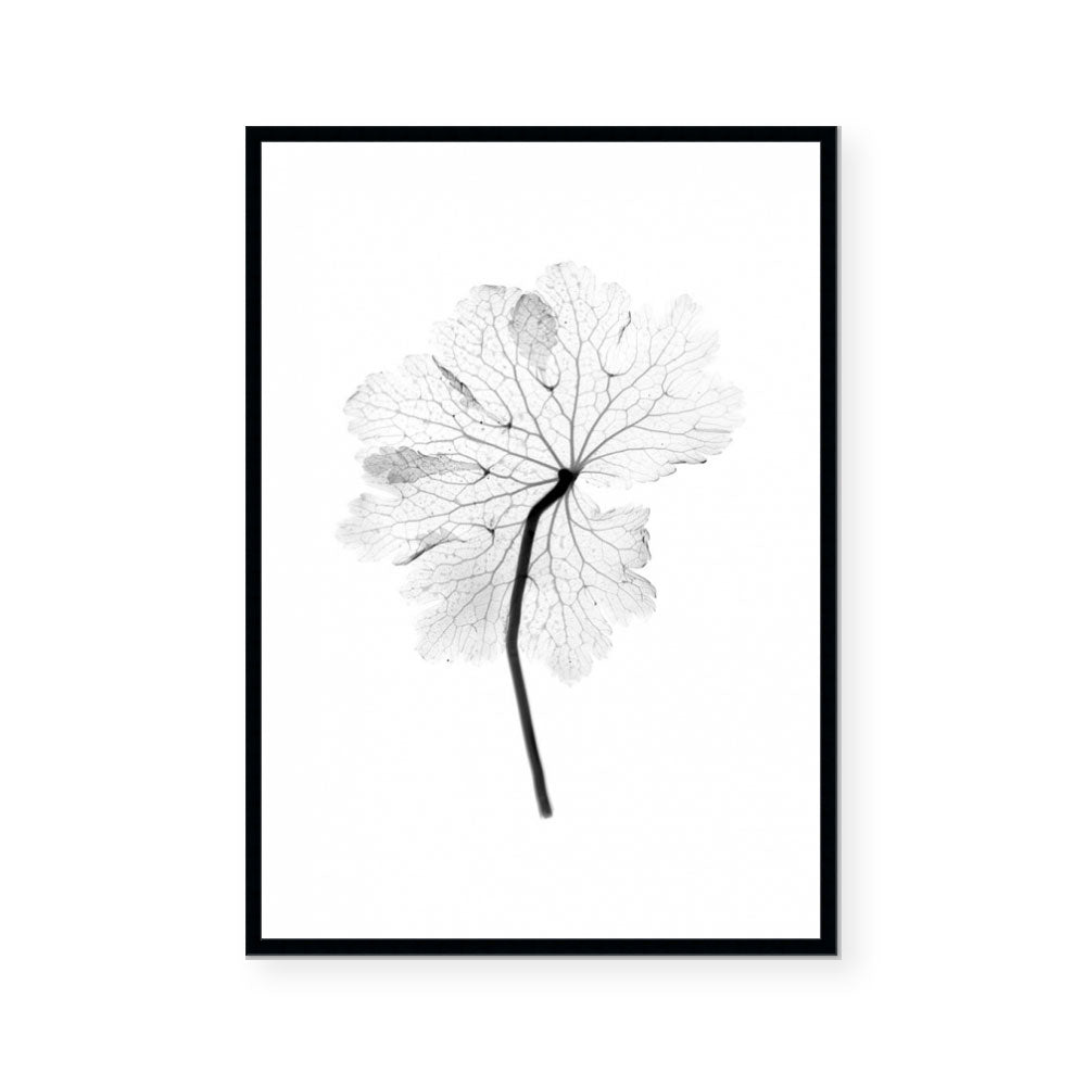 Transparent Florals I