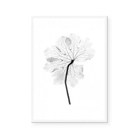 Transparent Florals I