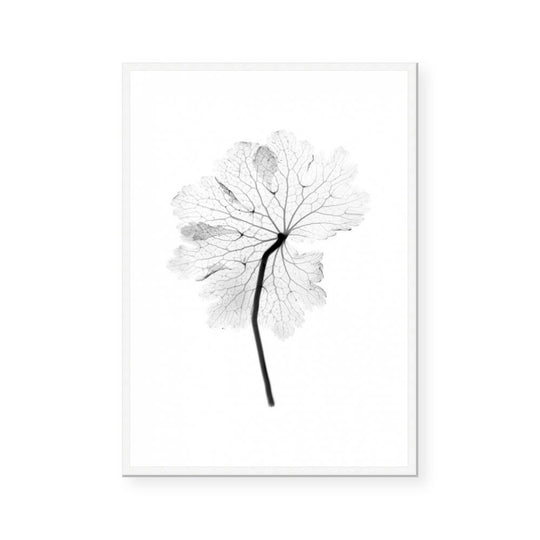 Transparent Florals I