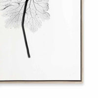 Transparent Florals I
