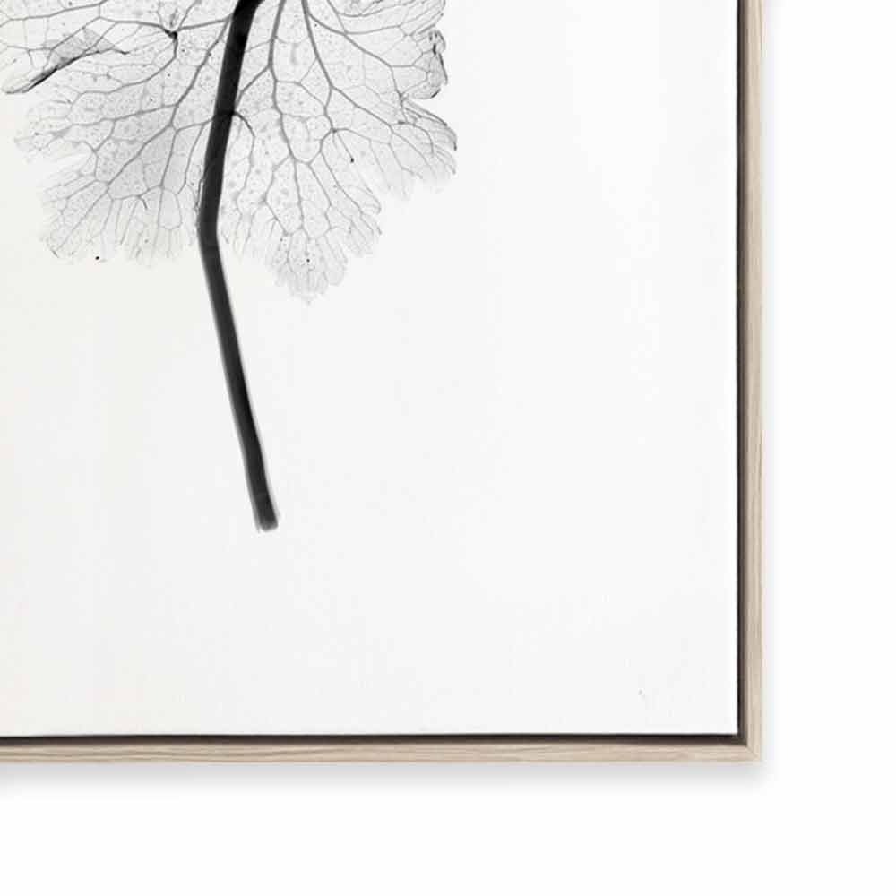 Transparent Florals I