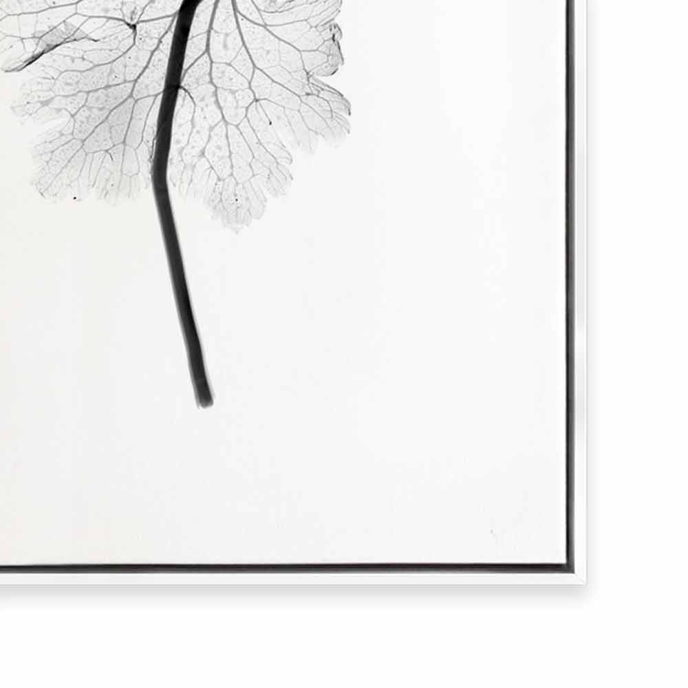 Transparent Florals I