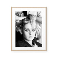 Twiggy at the Salon II
