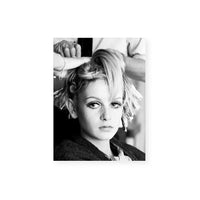 Twiggy at the Salon II