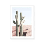 Two Cactus