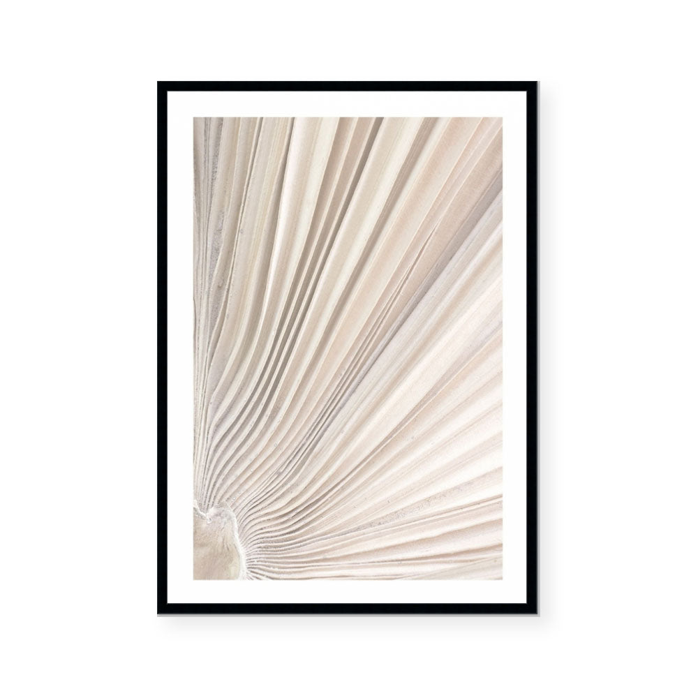 Valleys of a Palm II