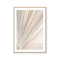 Valleys of a Palm II