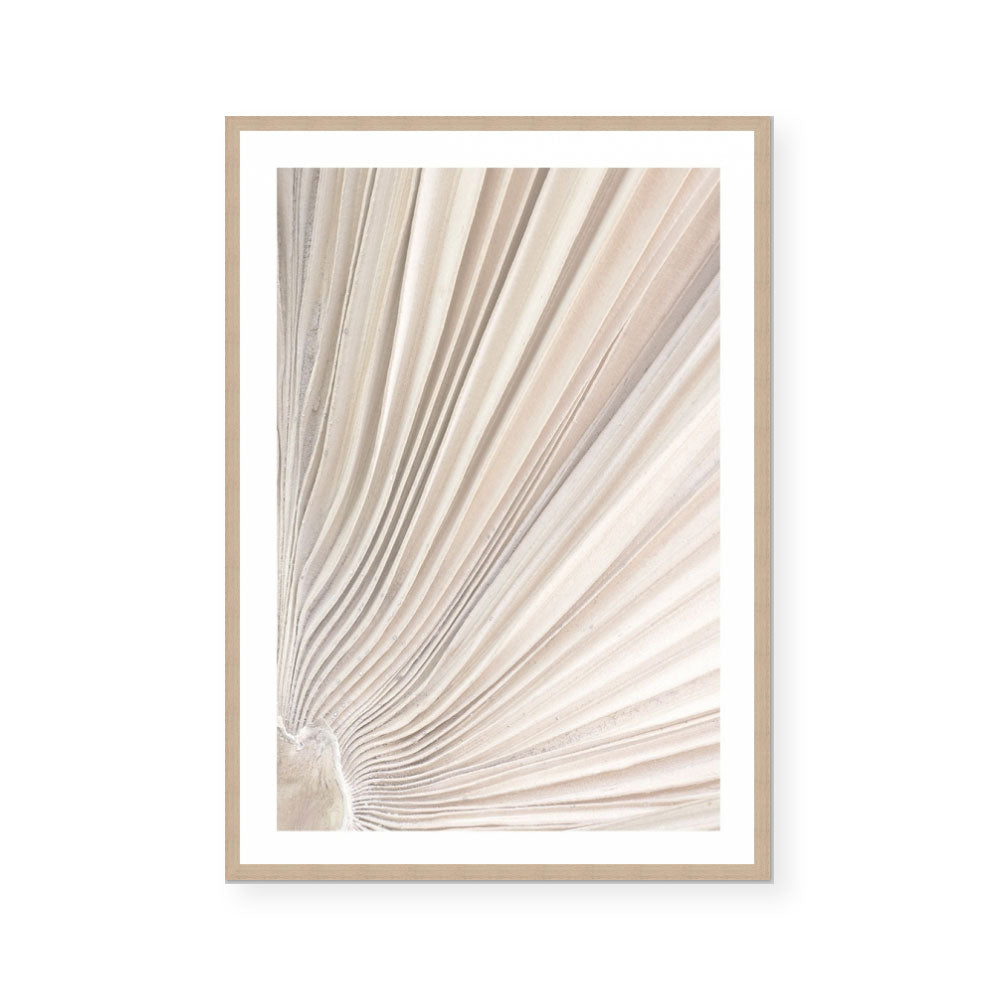 Valleys of a Palm II