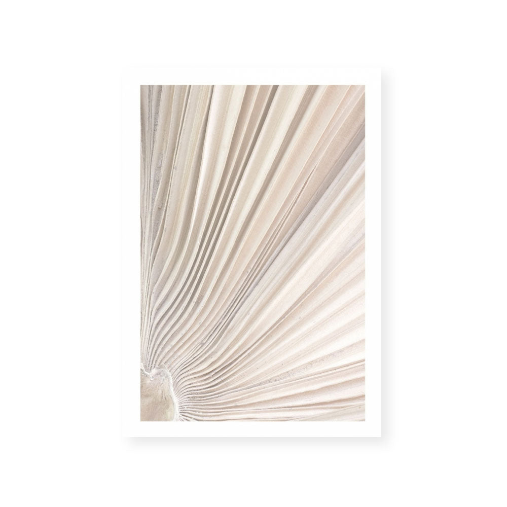 Valleys of a Palm II