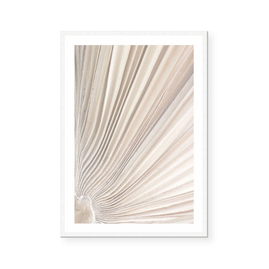 Valleys of a Palm II