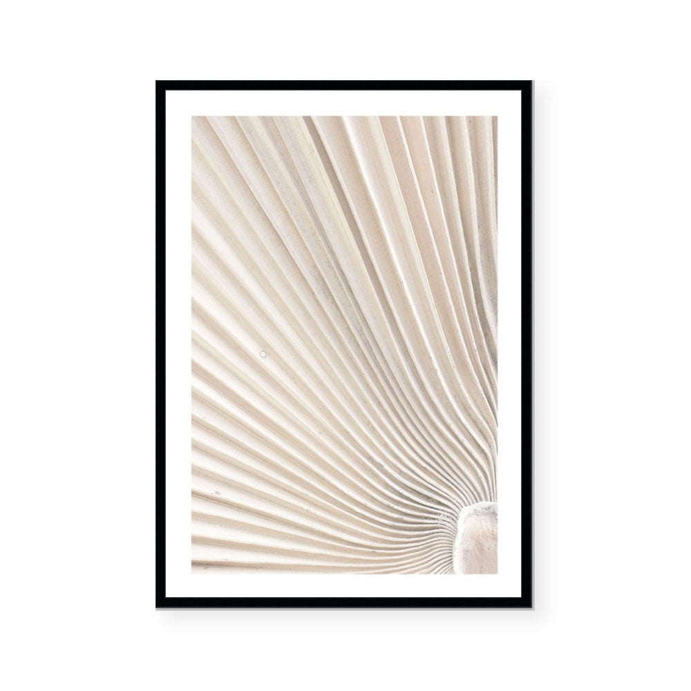 Valleys of a Palm I