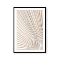 Valleys of a Palm I