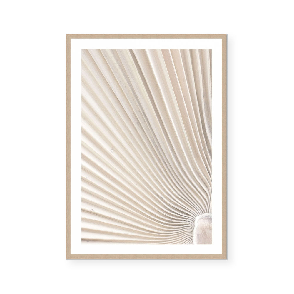 Valleys of a Palm I