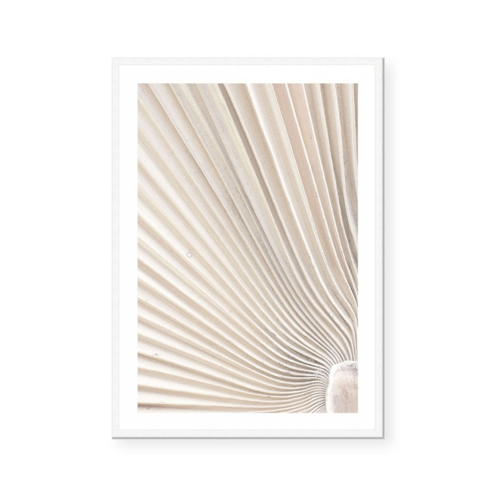 Valleys of a Palm I