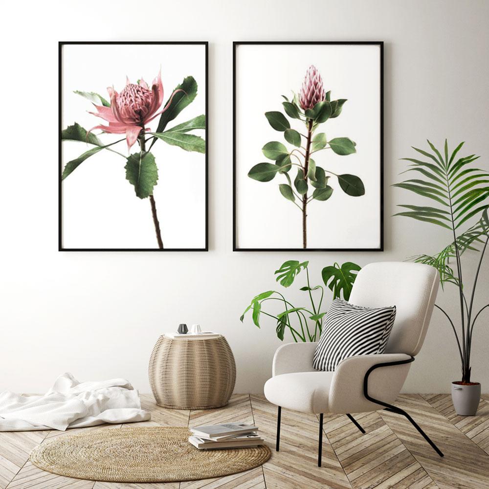 Long Stem Protea