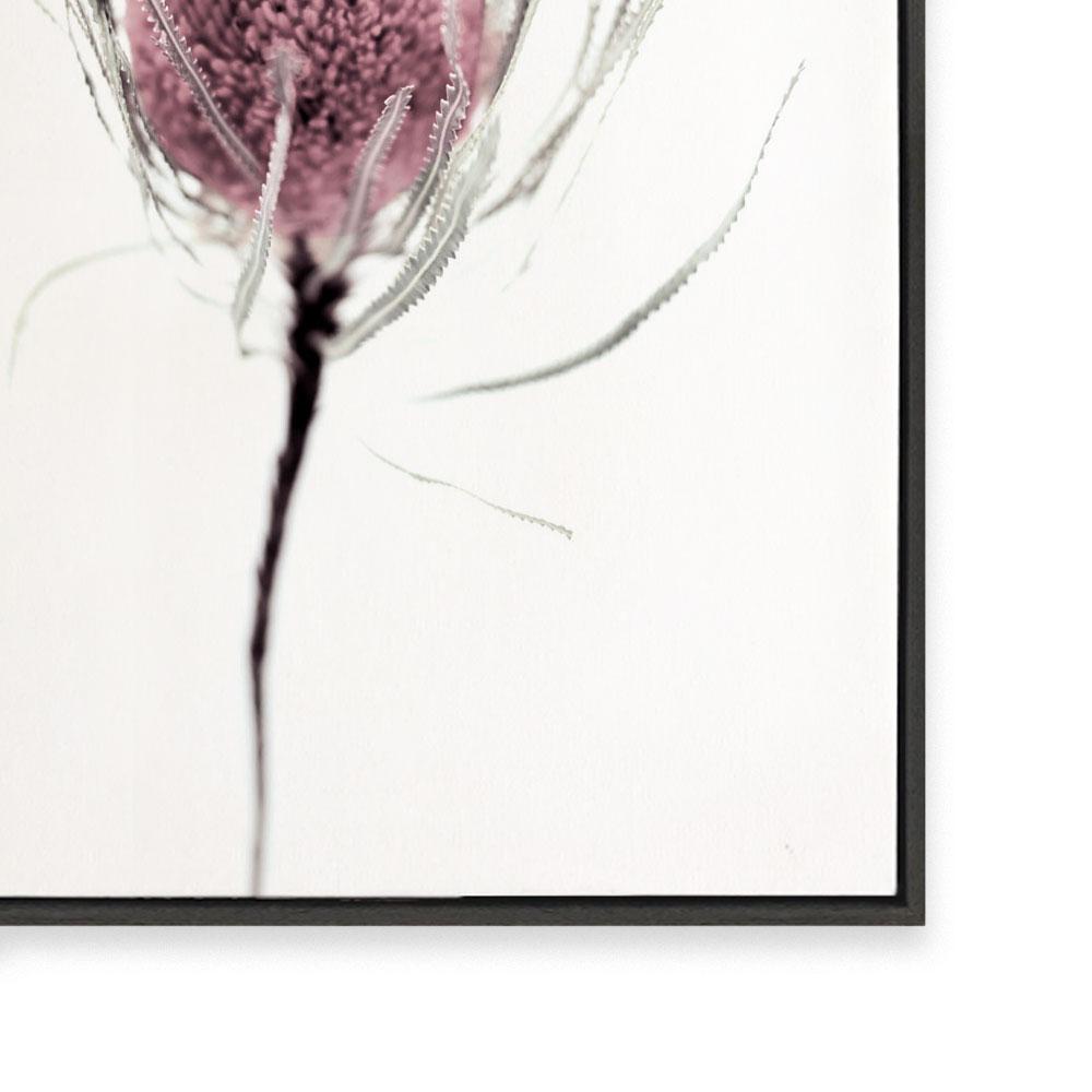 Wild Flower