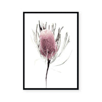Wild Flower