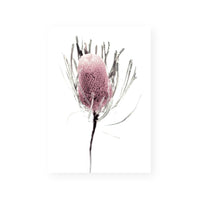 Wild Flower