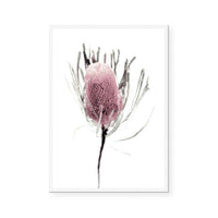 Wild Flower