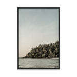 Wilderness Oasis | Framed Canvas