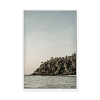 Wilderness Oasis | Framed Canvas