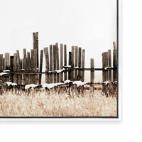 Winter Field