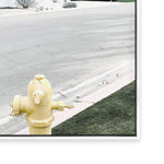 Yellow Hydrant